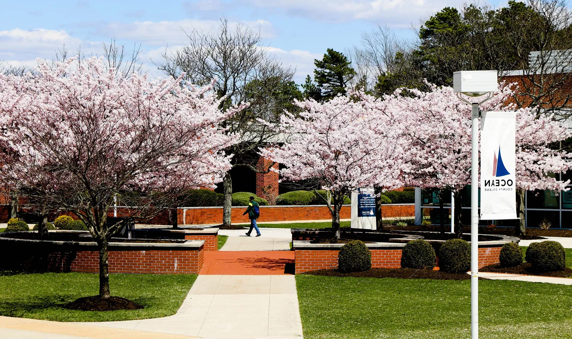 campus in the spring